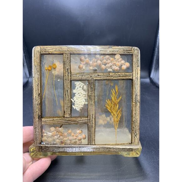 Vintage Lucite /Acrylic Napkin Holder With Encased Flowers And Seeds - Picture 7 of 7